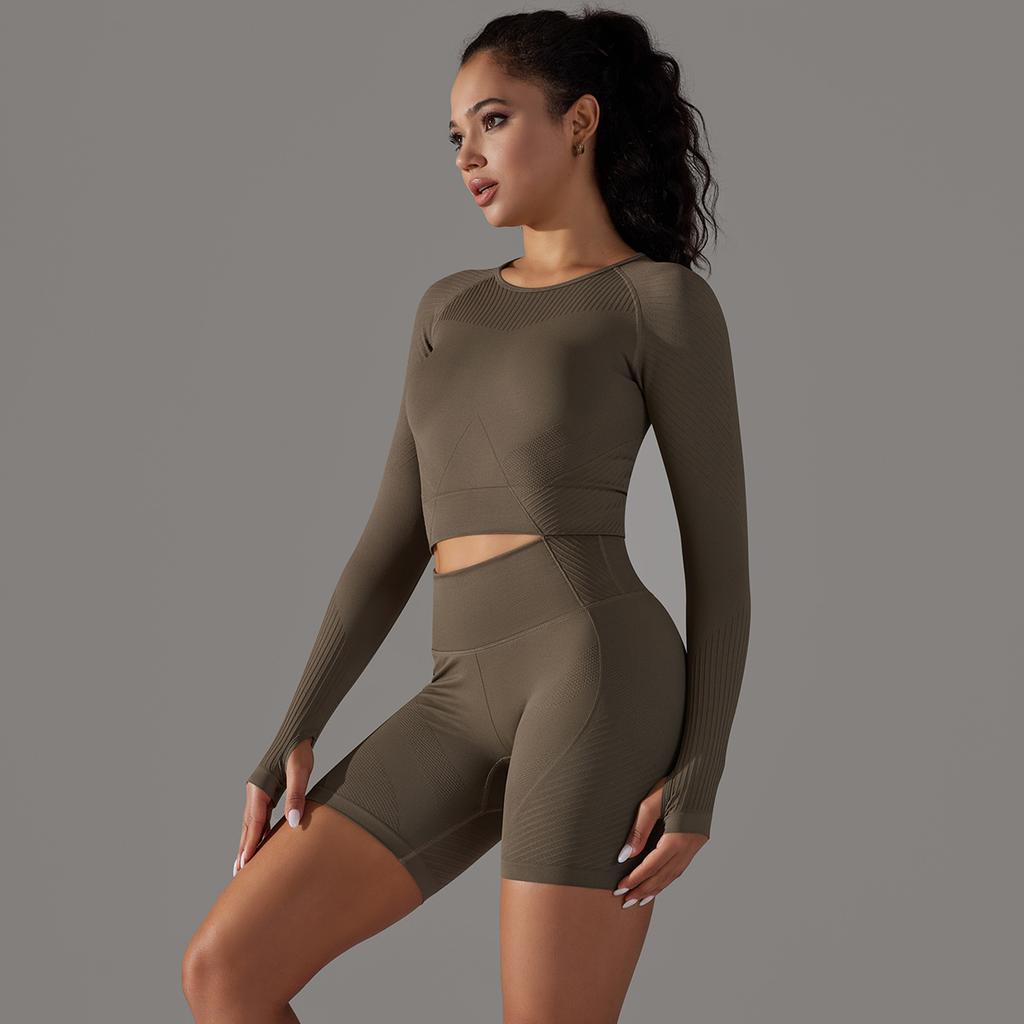 Seamless Long Sleeved Round Neck T-Shirt Sports Suit, High Waist And Hip Lifting Tight Shorts, Fitness Yoga Two-Piece Set For Women