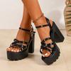 High heels women's sandals 2025 summer new waterproof platform platform platform fashion women's shoes thick heel temperament large size sandals