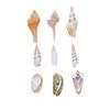 Electroplated Natural Shell Conch Scallop Pendant for DIY Necklace & Bracelet Jewelry