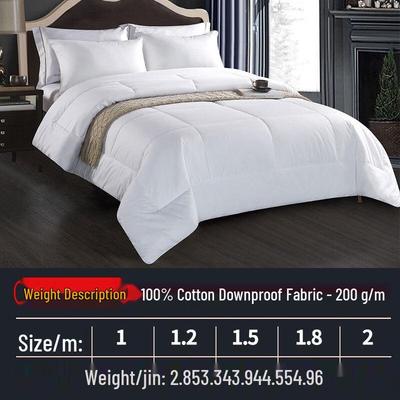 Chenhong Premium Duck Feather Summer Quilt