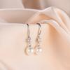 S925 Sterling Silver Pearl Earrings and Earrings for Women's Minimalist Temperament with Diamond Embedding Long Beizhu Earrings Fashion Jewelry