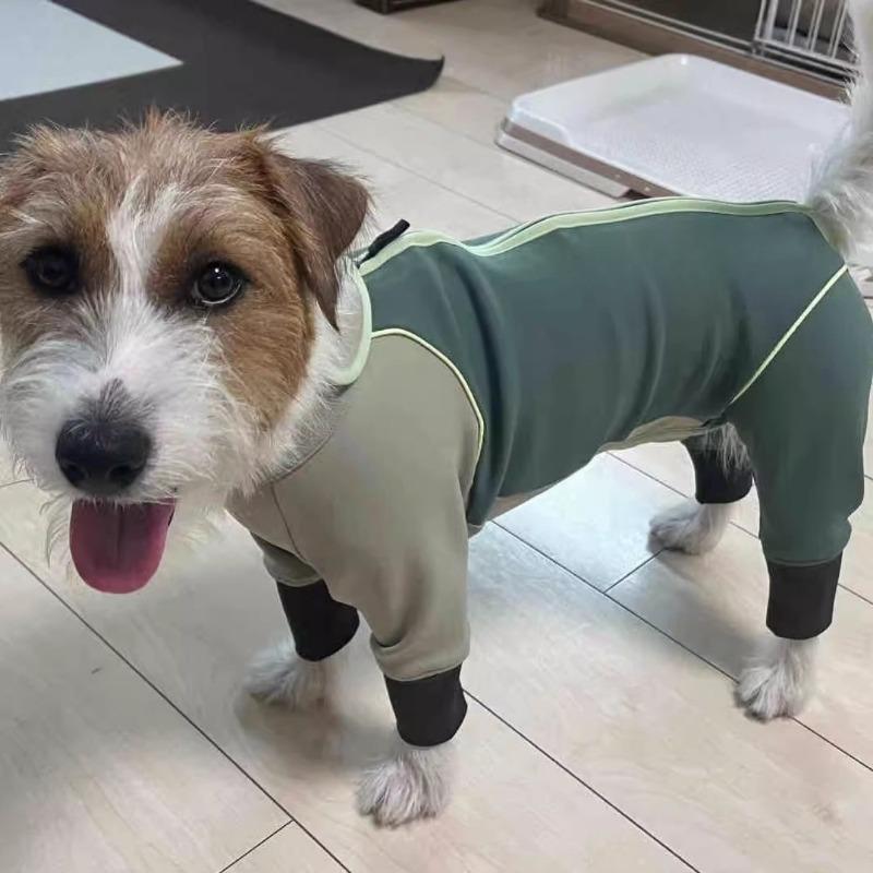 New Dog Clothes Autumn and Winter Four-legged Protective Sweater Teddy Bigbear Schnauzer Maltese Cat and Dog