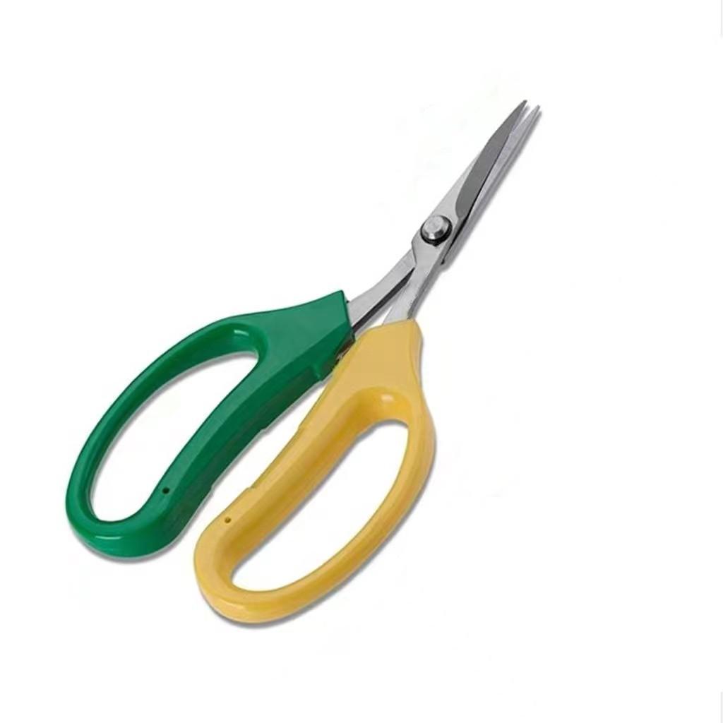 Edelstahl Obst- und Gartenschere