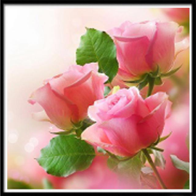Pittura diamante 5D Fai da te Paesaggio Fiore Colore Rosa Ricamo diamante Ricamo diamante