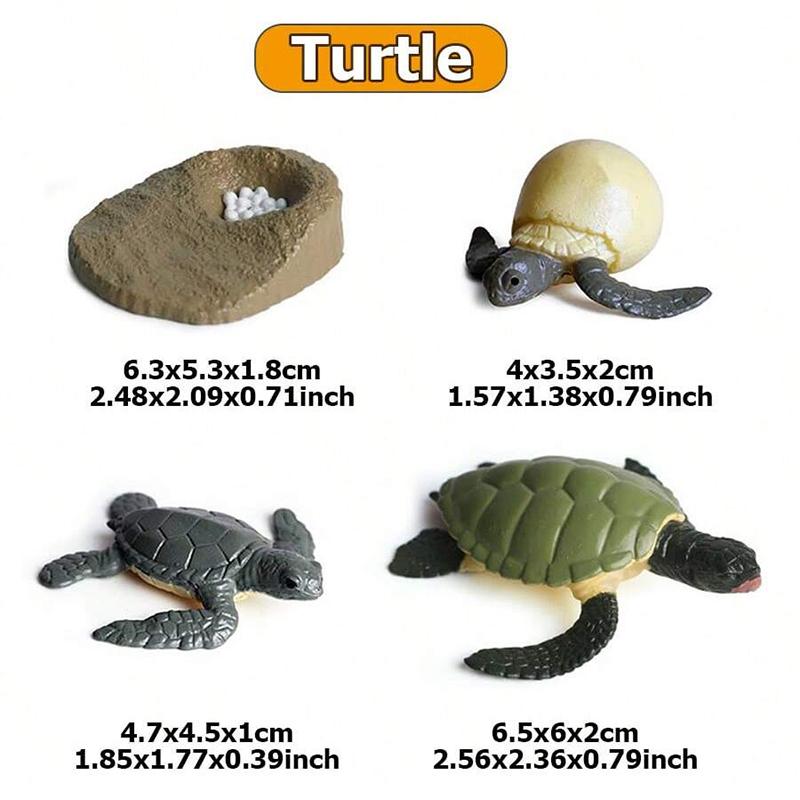 4pcs Mini Animal Plant Growth Cycle Tabletop Ornaments Plastic ABS Growth Process Model Family Decorations Animal Model Set TMZ