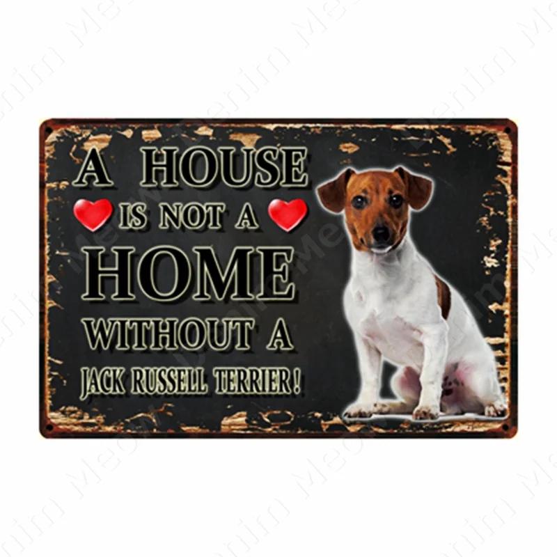 A House Is Not A Home Without A Dog Plaque, Vintage Metal Tin Signs, Bar, Cafe, Home Decor, Springer Spaniel, Wall Art Poster