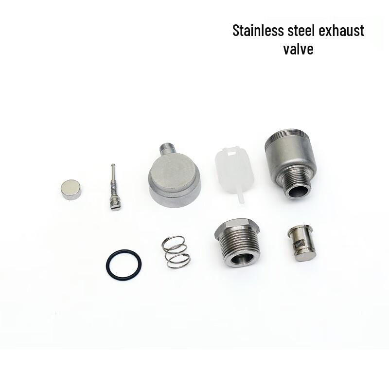 Bairuichuan 304 Stainless Steel Automatic Air Vent Valve