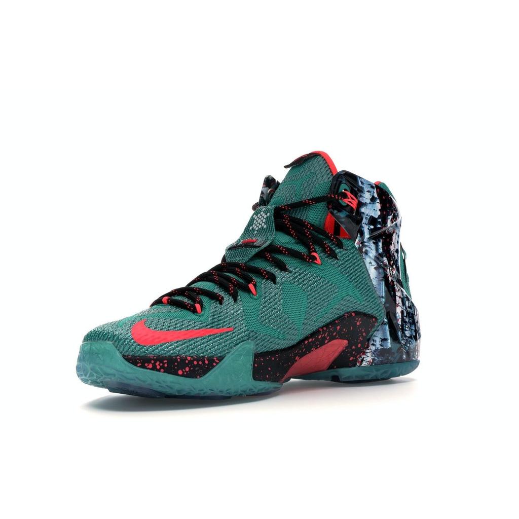 lebron 12 akron birch