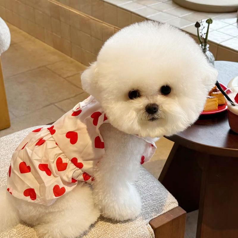 Pet dog clothes summer thin Teddy Bichon Pomeranian Yorkshire terrier small dog traction cat princess dress