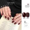 KaSi UV Gel Nail Polish - Autumn/Winter Pure Translucent Nude, Large Capacity, One Bottle One Color.