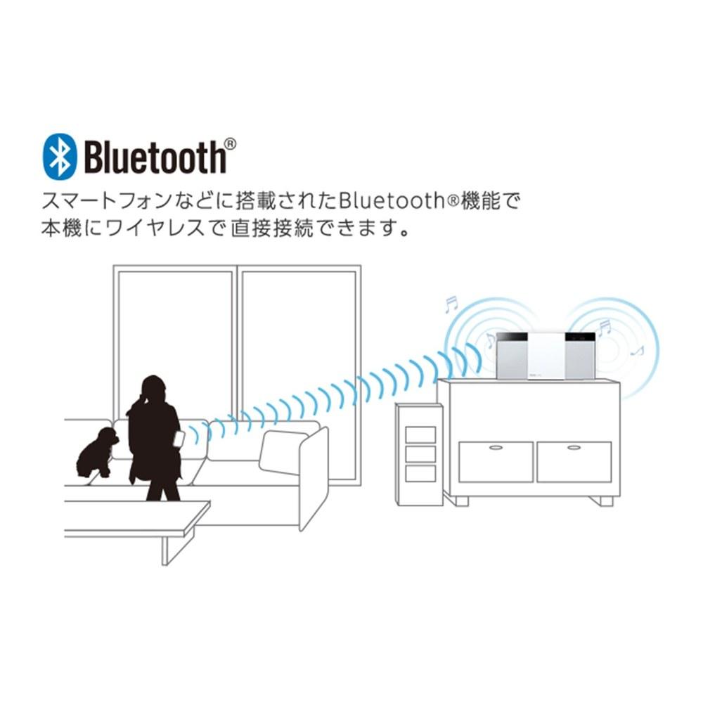 Panasonic Mini Impianto Stereo Bluetooth Sintonizzatore FM Ampio SC-HC300-K Nero