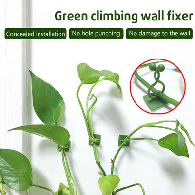 Outils de jardinage – Liens et attaches pour plantes