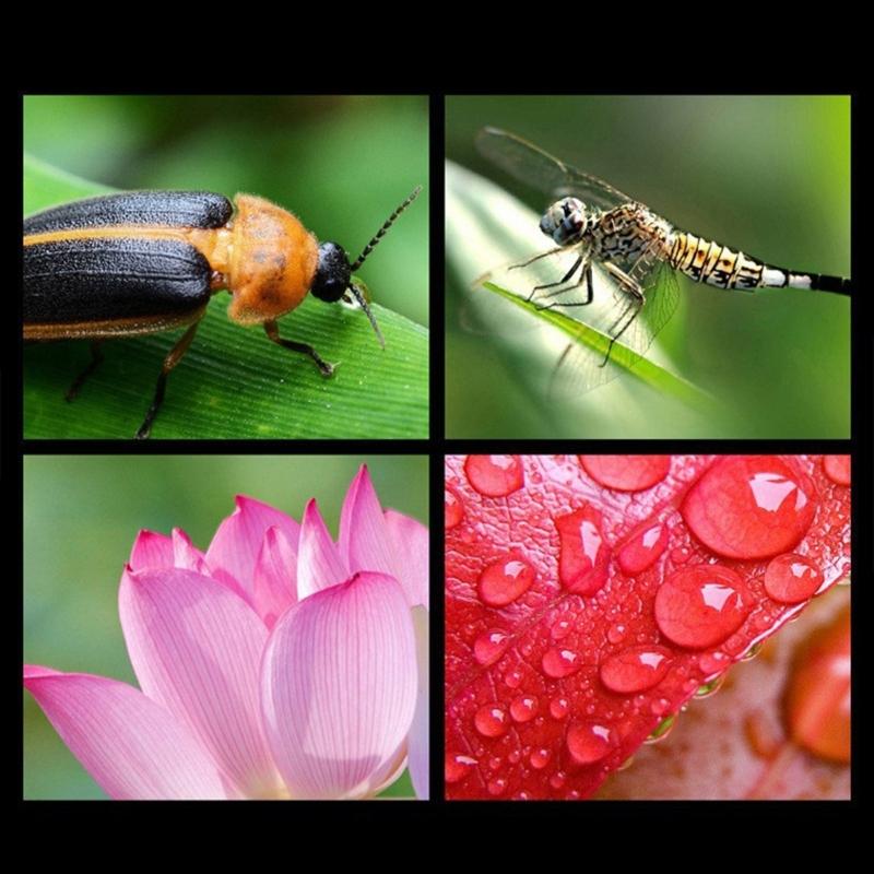 Adjustable Phone Camera Lens 0.45x Very Wide Angle Macro Photography Attachment Upgrades for Travel Outdoor Shoot