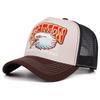 2025 Creative New Webhat SKYRIDER Airplane Street Dance Skateboarding Hip Hop Hat Truck Hat Outdoor Sports Sunshade Baseball Hat
