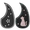 Accesorii pentru chitără – Accesorii chitară