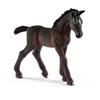 Figurine Cheval : Poulain Lipizzan