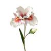 1PC 2-head Iris Flowers Party Wedding Decorative Artificial Cattleya Orchid Home Decoration Simulated Flower Silk Flower 45cm