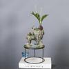 Wenzhu Succulent Basin Fortune Tree Bonsai Retro Rice Bamboo Indoor Good Raising Floating Island Suspended Iron Art Micro Landscape Basin