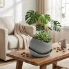 3D-gedruckte Sukkulenten-Pflanzgefäße Kunststoff-Anzuchttöpfe Moderner Dekorativer Topf Schreibtisch