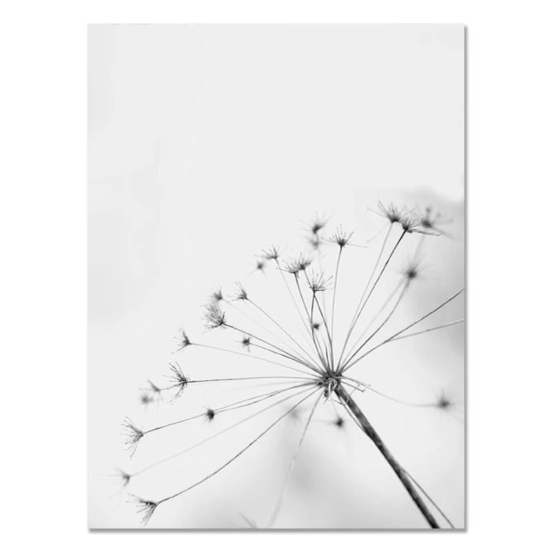 Black and White Flower Posters Print Fresh Canvas PaintingWall Art Feather Dandelion Pictures  Living Room Decoration Wall Decor