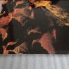 [USED] GRAND CANYON