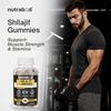 Nutrabud Pure Shilajit Gummies 100mg For Daily Energy And Stamina Support Tamarind Flavour Veg Supplement 60 Count Pack Of 1