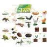 25 Simulated Insect Growth Cycle Card Set Plant Bee Butterfly Frog Mantis Model Ornament Toy