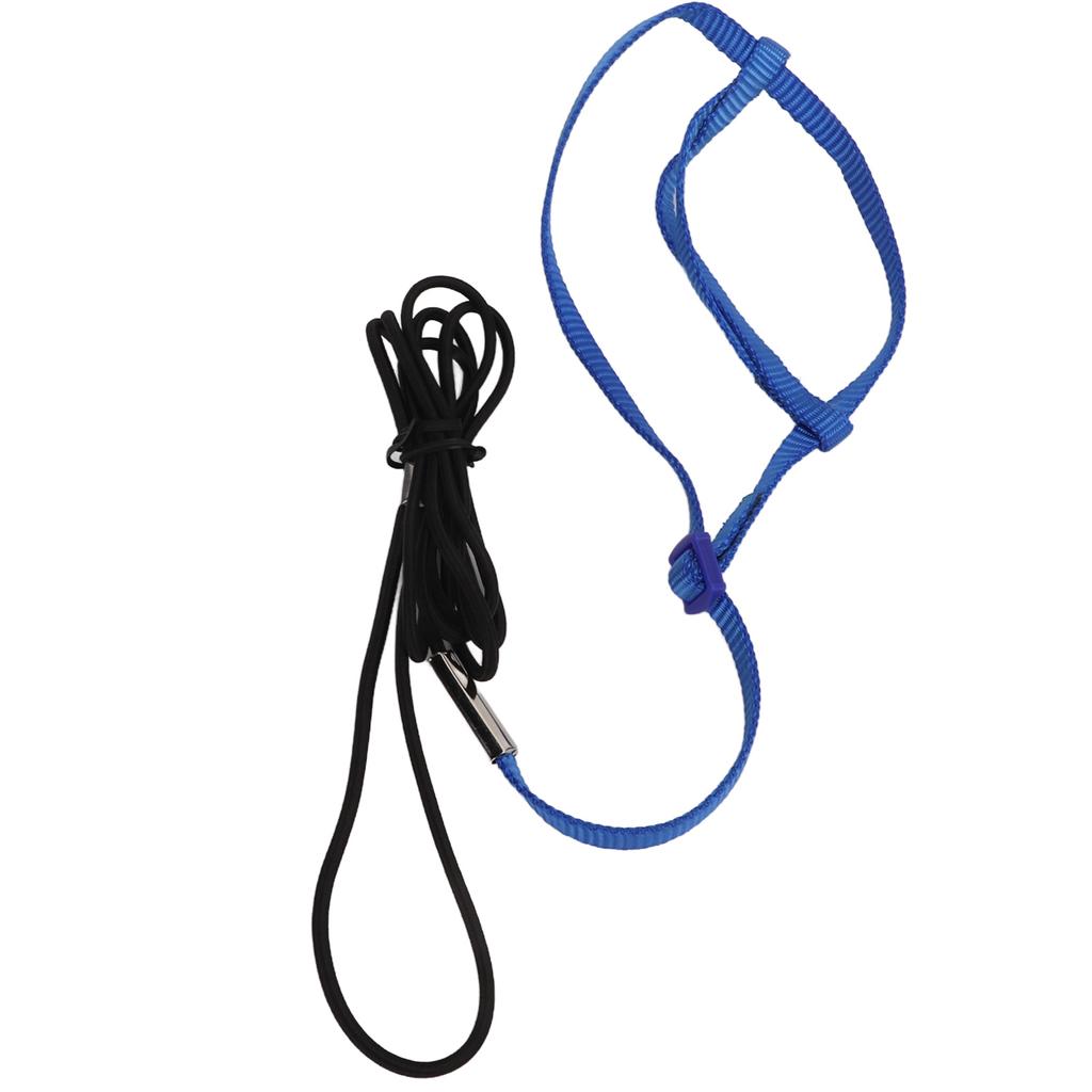 Parrot Harness Leash Adjustable Bird Flying Harness Traction Rope with Hook for Birds Parrots