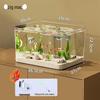 Acvariu Transparent Acrilic pentru Pești și Broaște Țestoase - Acvariu Mic de Birou Ecologic pentru Creștere în Sufragerie