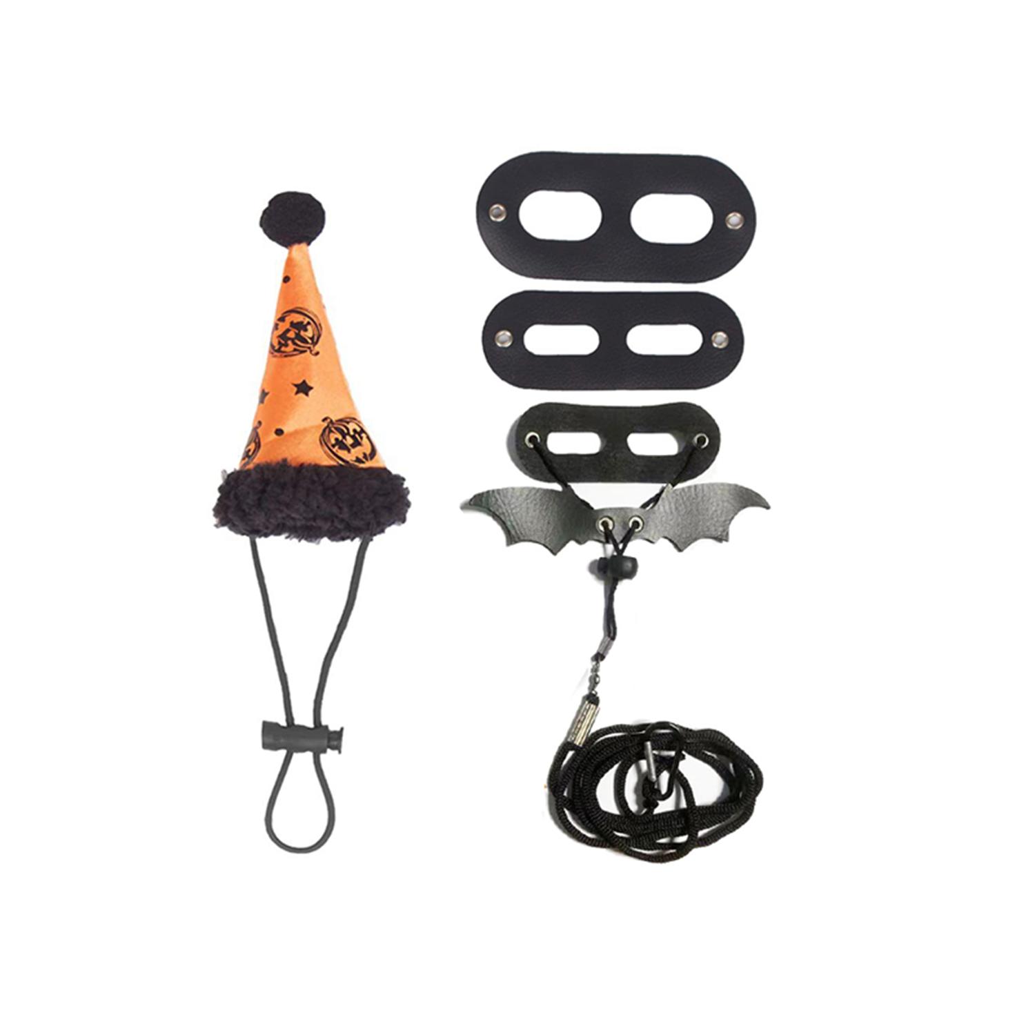 Lizard Leash Harness Set Halloween Costume Hat for Gecko Leopard Hamster Ferret чёрный