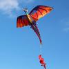 Outdoor Colorful 3D Dragon Flying Kite with 100m Tail Line Children Kids Toys