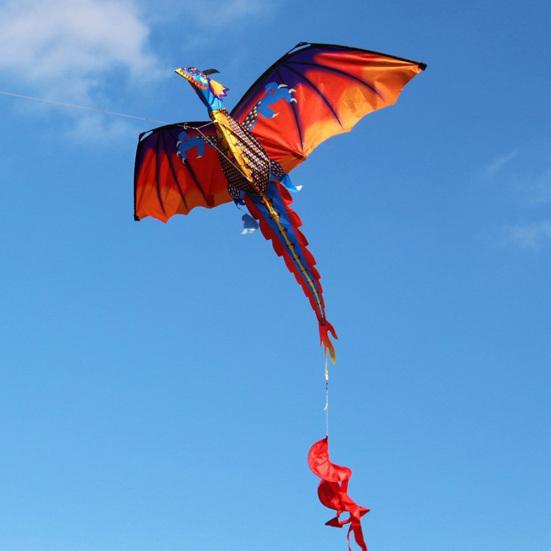 Outdoor Colorful 3D Dragon Flying Kite with 100m Tail Line Children Kids Toys