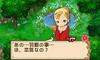 Story of Seasons The Tale of Two Towns+ for Nintendo 3DS - Japan Import / Farming Simulation Adventure Game