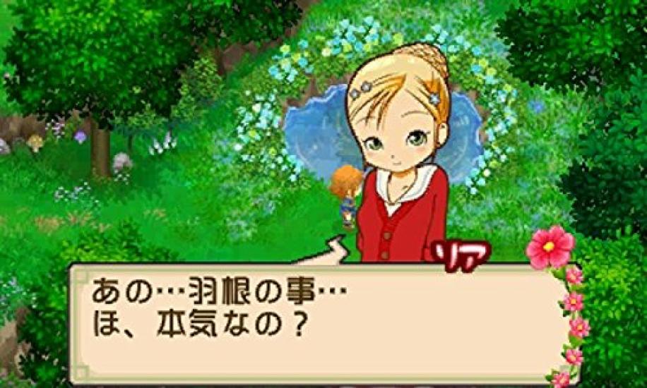 Story of Seasons The Tale of Two Towns+ for Nintendo 3DS - Japan Import / Farming Simulation Adventure Game
