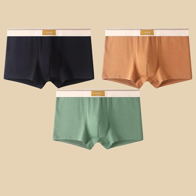 Herren Unterwäsche Hombre Slips Boxershorts Bequeme Atmungsaktive Baumwollunterwäsche Sexy Unterwäsche Einfarbige Boxershorts