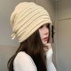 Korean Style Knit Hat Women Winter Warm Ear Protection Beanie Versatile Slimming Hat