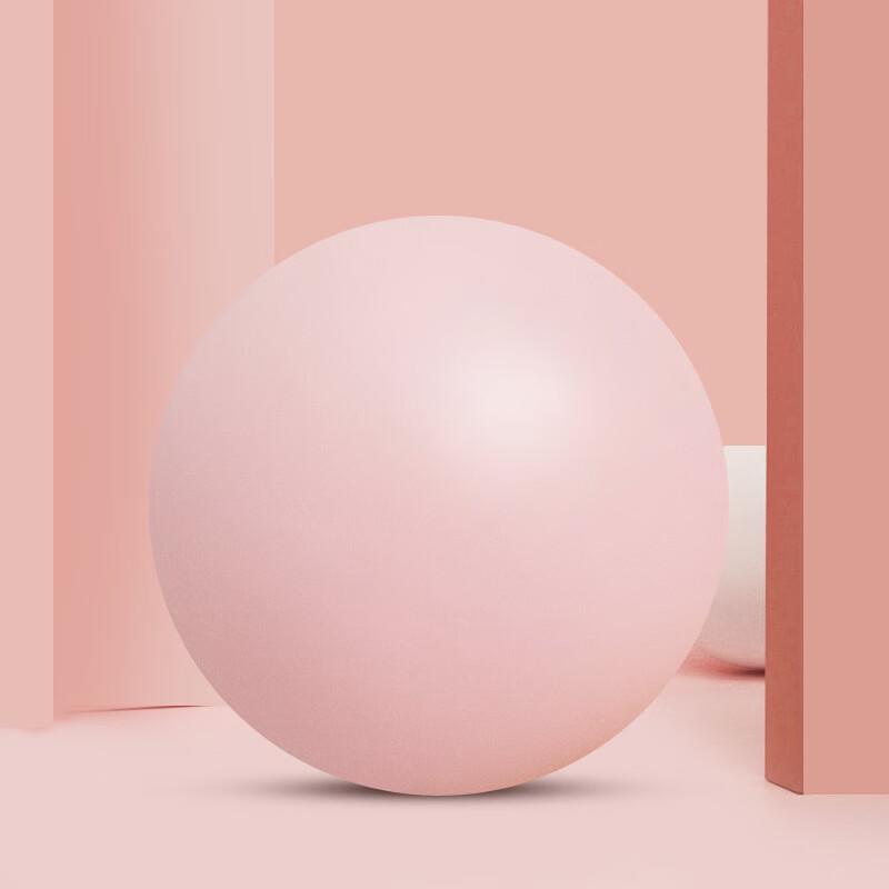 Longchan 25cm Pilates Yoga Ball - Pink (2-Pack)