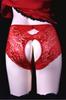 Sexy Lace Front and Rear Fully Open Floral Print Erotic Lace Panties [IntooMe] Women's Pants, Holes, Underwear, Visible, Crotch, Shorts, Lingerie,
