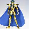 MST Saint Seiya Myth Cloth EXM/EX Metal Aquarius Camus With Hyoga Cygnus Head 24K Hades Gold Knights of the Zodiac Action Figure