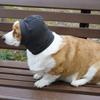Warm Dog Calming Earmuffs Anti-Startle Cold-Proof Noise-Proof Earmuffs Solid Color Elastic Band Pet Ear Cover Dog Walking