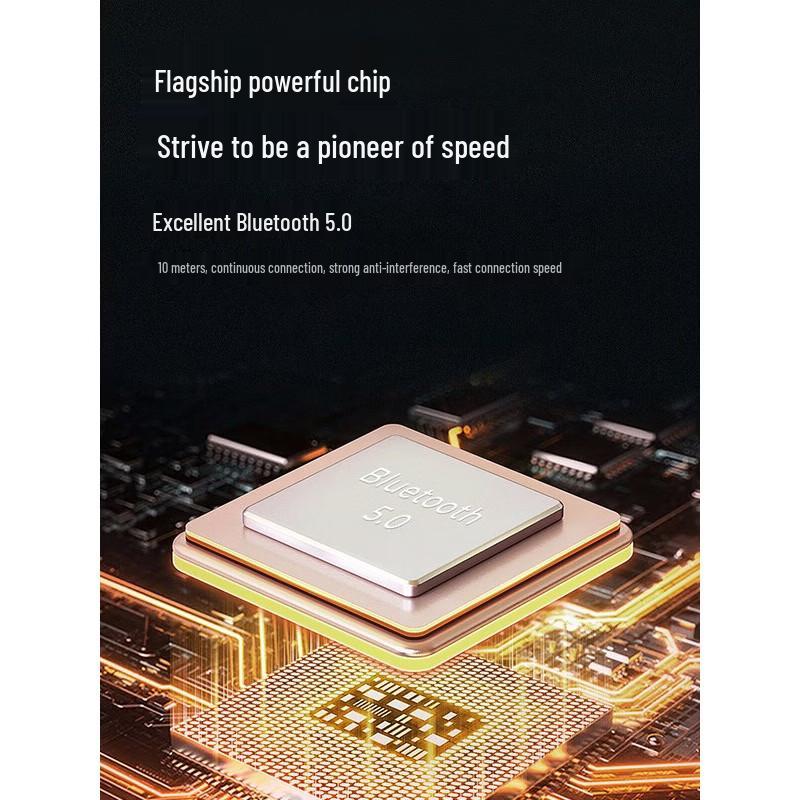 Newmine DP07 Portable Karaoke System with Dual Microphones CN plug (adapter included)