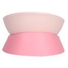 Anti-Tip Tilted Pet Bowl Slanted Mouth Neck Care Bowl Easy Clean Food & Water Bowl  Indoor Use