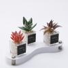 1 PC Simulation Mini Glass Flocked Succulent Potted Planter, Home Living Room Desk Office Ornament, Holiday Gift
