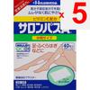 Hisamitsu Pharmaceutical Salonpas Ae Medium format 40 sheets Plasta (cooling) Paste Efficacy: Stiff shoulders, lower back pain, muscle pain, muscle fa