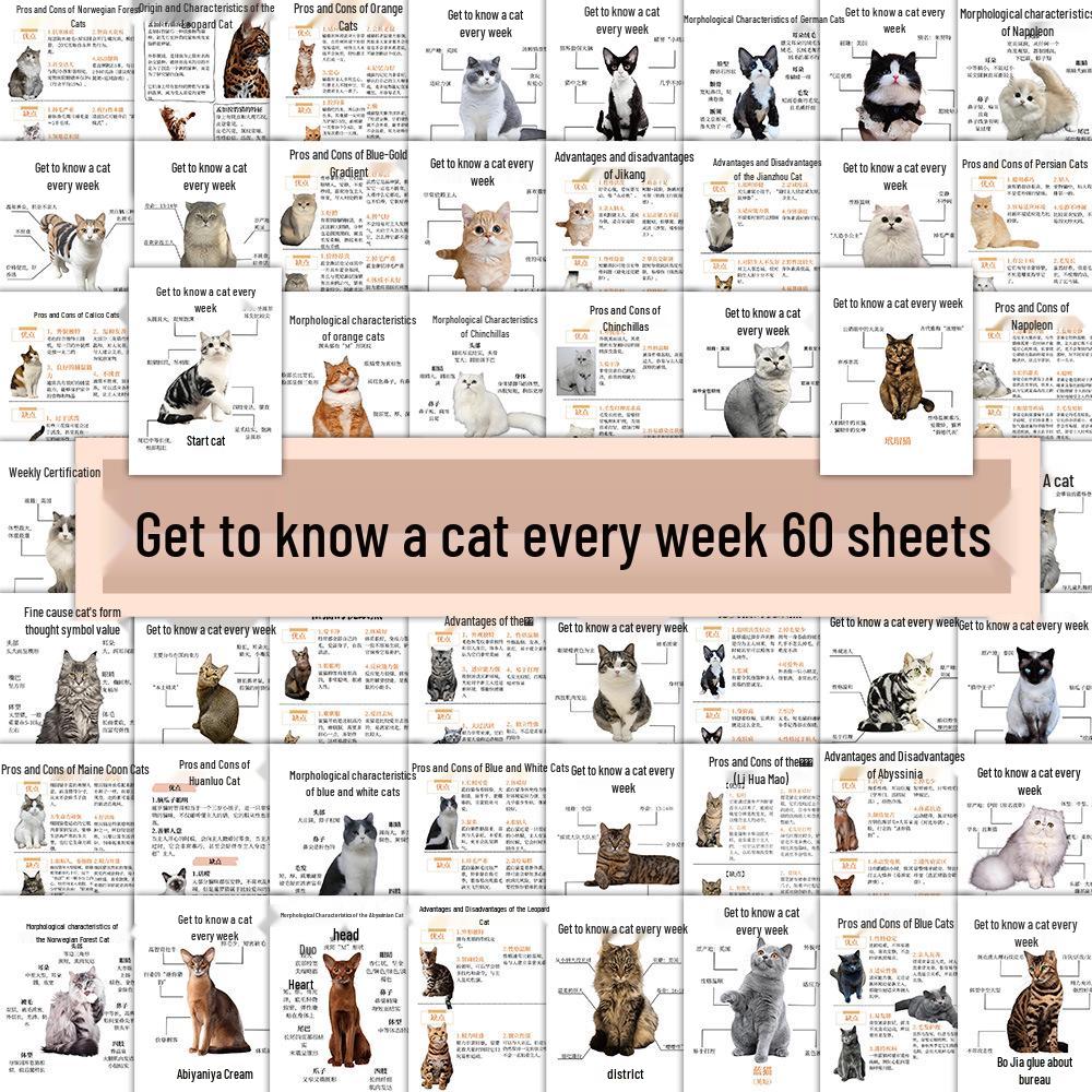 60 Sheets of Daily Pet Learning Stickers: Essential Guides for Dog & Cat Care 14*15 cm