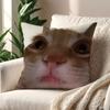 Cute Cat Funny cushion cover For Pillow Printing Sofa Decoration Home Car Room Coffee Shop Office Nordic Simplicity