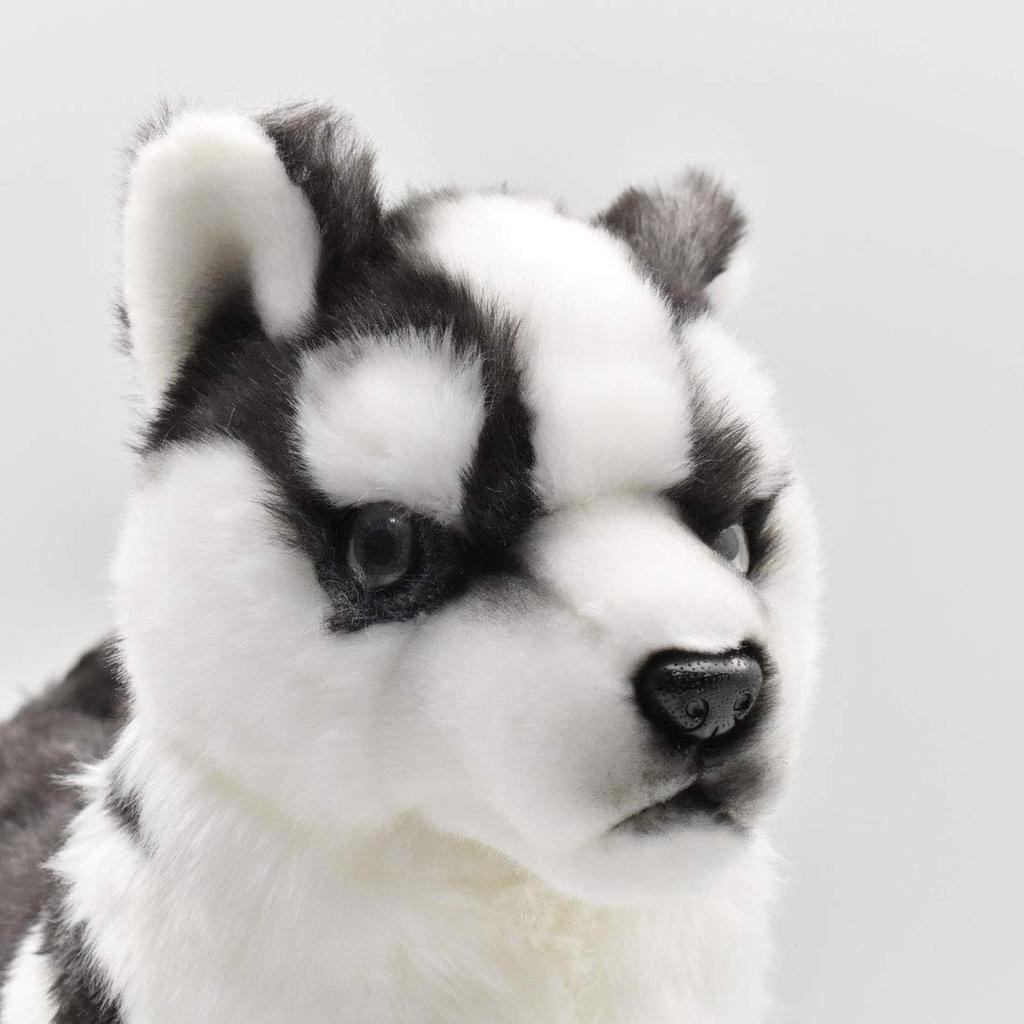 BH7512 HANSA Siberian Husky Puppy, Size 43