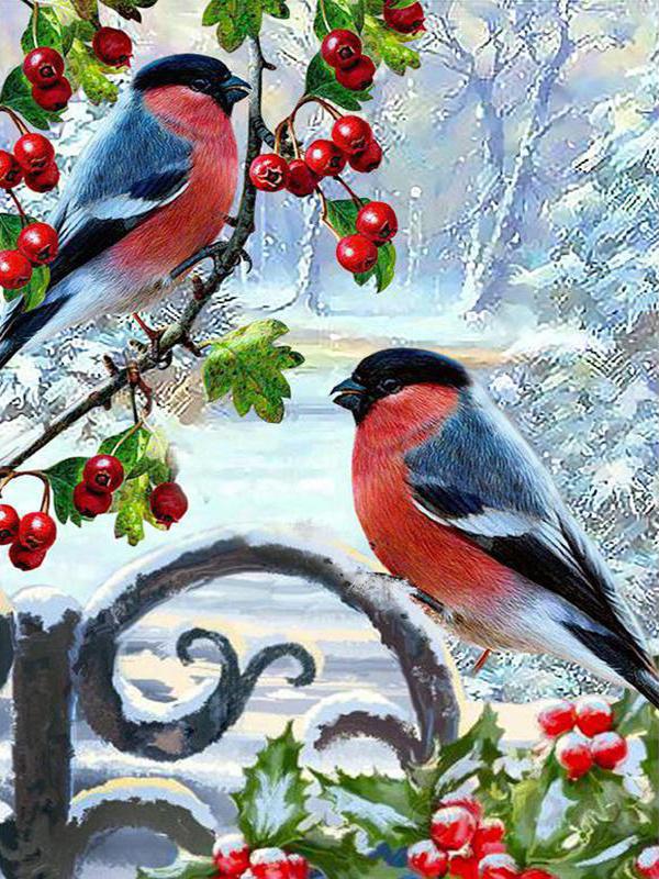 

Полная квадратная алмазная живопись Снежный Воробей Рукоделие Алмазная вышивка Лошадь Животные Эльфы Алмазная мозаика Закат Вышивка крестом Домашний декор Full Square 20X30CM темно серый