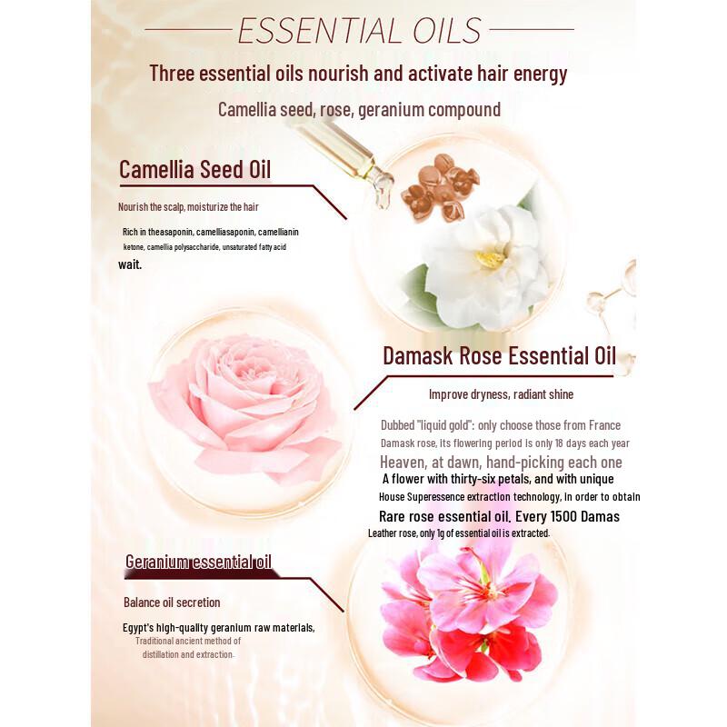 Shulei Camellia Niacinamide Anti-Dandruff Hair Care Set