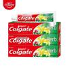 Colgate Herbal Gum Care Toothpaste